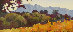 Autumn Vines - Groot Constantia | 2019 | Oil on Canvas | 46 x 64 cm